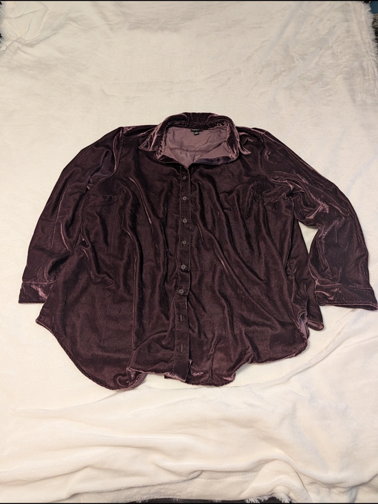 torrid Tops - torrid Plush Velvet Collared Top in Plum